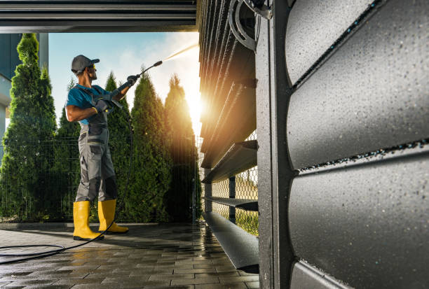 Best Sidewalk and Walkway Cleaning  in Gibraltar, MI